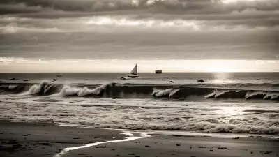 Joyous Bliss Along the Seashore