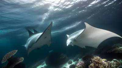 Majestic world underwater a close encounter with majestic manta rays
