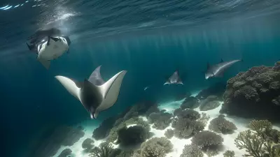 Majestic world underwater a close encounter with majestic manta rays