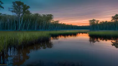 Wildlife Wonders at Blue Hour in the Diverse Swamp