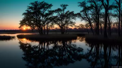 Wildlife Wonders at Blue Hour in the Diverse Swamp