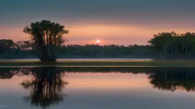 Wildlife Wonders at Blue Hour in the Diverse Swamp