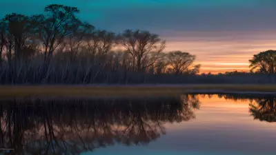 Wildlife Wonders at Blue Hour in the Diverse Swamp