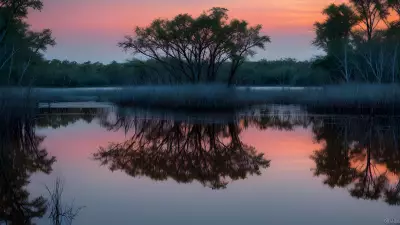 Wildlife Wonders at Blue Hour in the Diverse Swamp