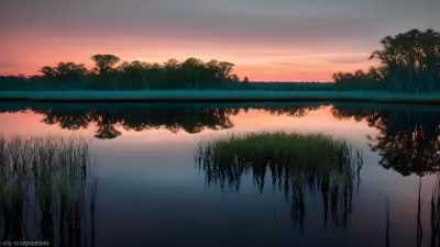 Wildlife Wonders at Blue Hour in the Diverse Swamp