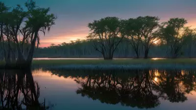 Wildlife Wonders at Blue Hour in the Diverse Swamp