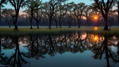 Wildlife Wonders at Blue Hour in the Diverse Swamp