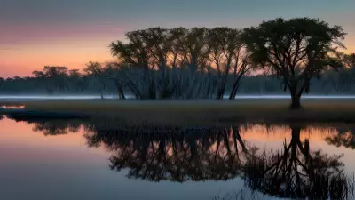 Wildlife Wonders at Blue Hour in the Diverse Swamp