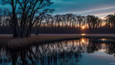 Wildlife Wonders at Blue Hour in the Diverse Swamp