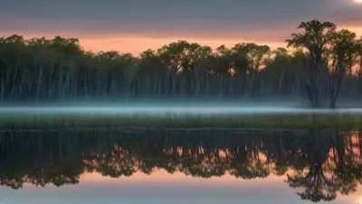 Wildlife Wonders at Blue Hour in the Diverse Swamp