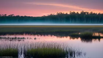 Wildlife Wonders at Blue Hour in the Diverse Swamp