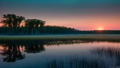 Wildlife Wonders at Blue Hour in the Diverse Swamp