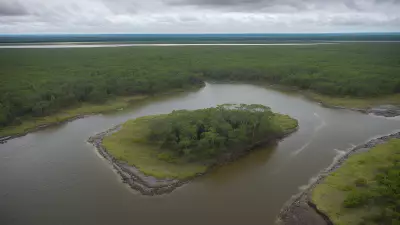 Carnivores in Ancient Estuaries