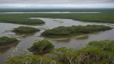 Carnivores in Ancient Estuaries