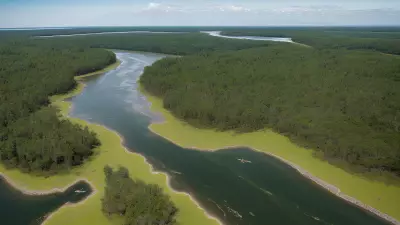 Carnivores in Ancient Estuaries