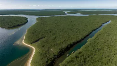 Carnivores in Ancient Estuaries