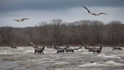 Majestic Migrations on the Floodplain Captivating Expressions in Animal Portraiture