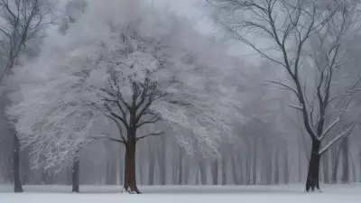 Winter Jewel An Advertising Design Inspired by Anish Kapoor