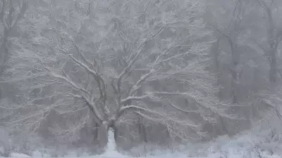 Winter Jewel An Advertising Design Inspired by Anish Kapoor