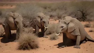 Biodivity of the Precious (wildlife) at Desert Dwellers
