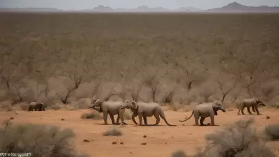 Biodivity of the Precious (wildlife) at Desert Dwellers