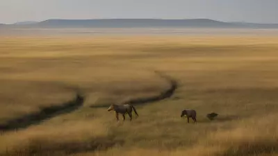 Coexisting with nature Wildlife tracking in the Steppe