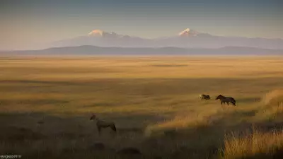 Coexisting with nature Wildlife tracking in the Steppe