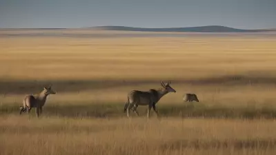 Coexisting with nature Wildlife tracking in the Steppe