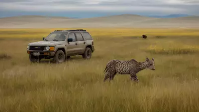 Coexisting with nature Wildlife tracking in the Steppe