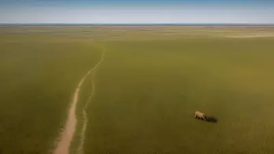 Coexisting with nature Wildlife tracking in the Steppe