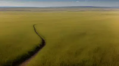 Coexisting with nature Wildlife tracking in the Steppe