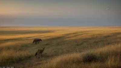 Coexisting with nature Wildlife tracking in the Steppe