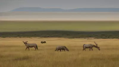 Coexisting with nature Wildlife tracking in the Steppe