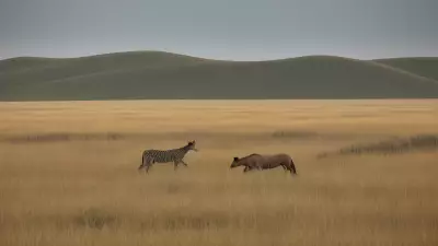 Coexisting with nature Wildlife tracking in the Steppe