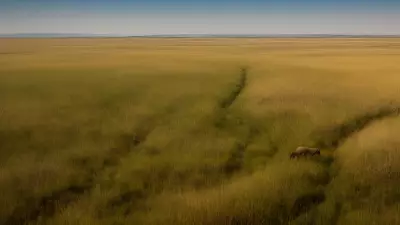 Coexisting with nature Wildlife tracking in the Steppe