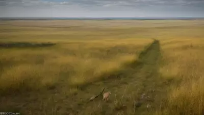 Coexisting with nature Wildlife tracking in the Steppe