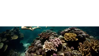 Silent Depths The Mystery of Life Explored Through Diverse Underwater Voices