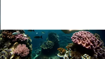 Silent Depths The Mystery of Life Explored Through Diverse Underwater Voices