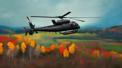 Abstract Fall Remnants from a Helicopter Assault