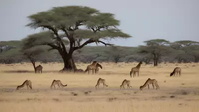 Unexpected Encounters in Wildlife Plateaus