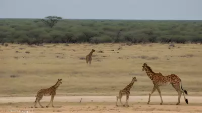 Unexpected Encounters in Wildlife Plateaus