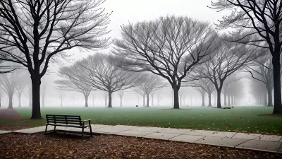The Grey Haven A Beautiful Yet Lonely Office in the Park