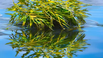 River Reflections A Minimalist Makeup Statement
