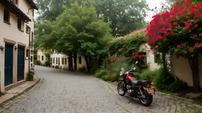 Artistic snapshots from a village