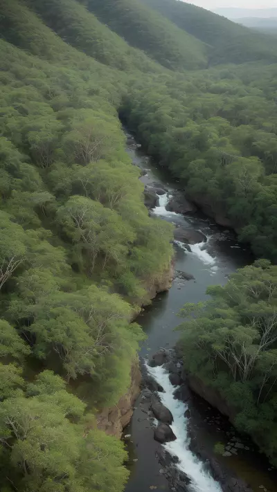 Wild Resilience The Fragility of Ecosystems Through the Eyes of Mark Evans