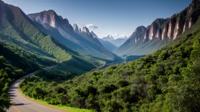 Majestic Mountain amidst an Earthy Forest