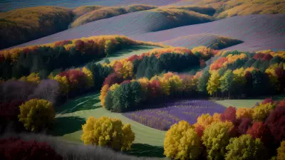 Harvest Hills A Family's Psychedelic Adventure