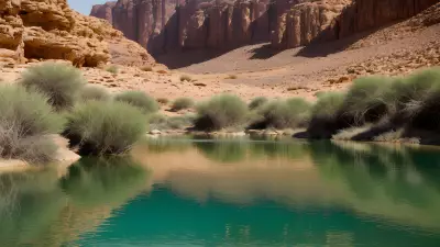 Discovering the Splendors of Wadi's Unique Ecosystems