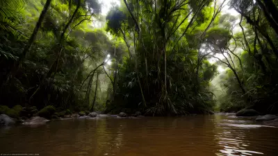 Untouched Wonders of the Rainforest An Animal Photographer's Dream