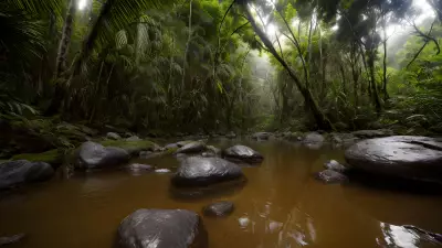 Untouched Wonders of the Rainforest An Animal Photographer's Dream